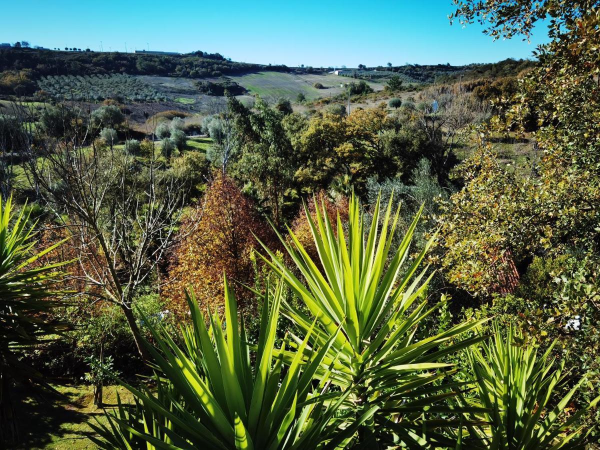Quinta Do Vale Encantado "The Valley" - Santarem - Portugal Calhariz Экстерьер фото