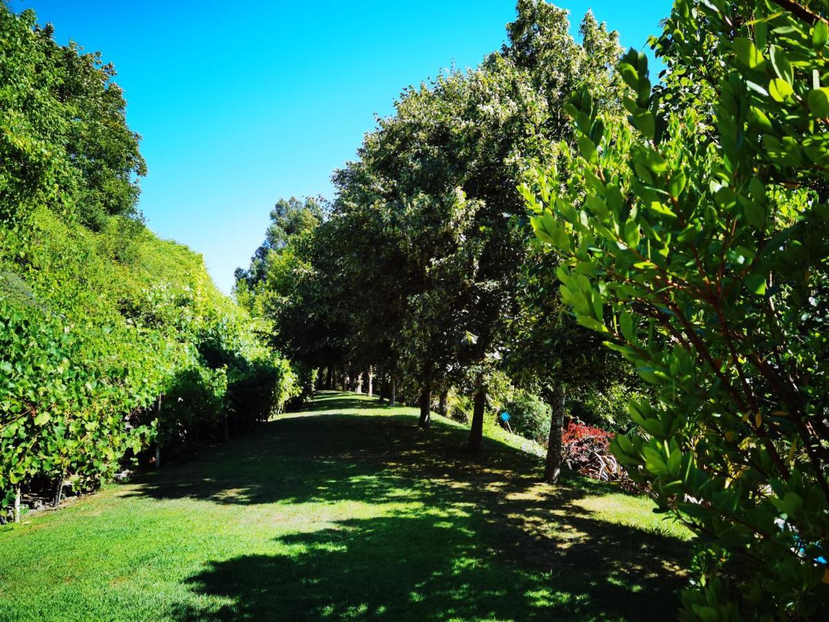 Quinta Do Vale Encantado "The Valley" - Santarem - Portugal Calhariz Экстерьер фото