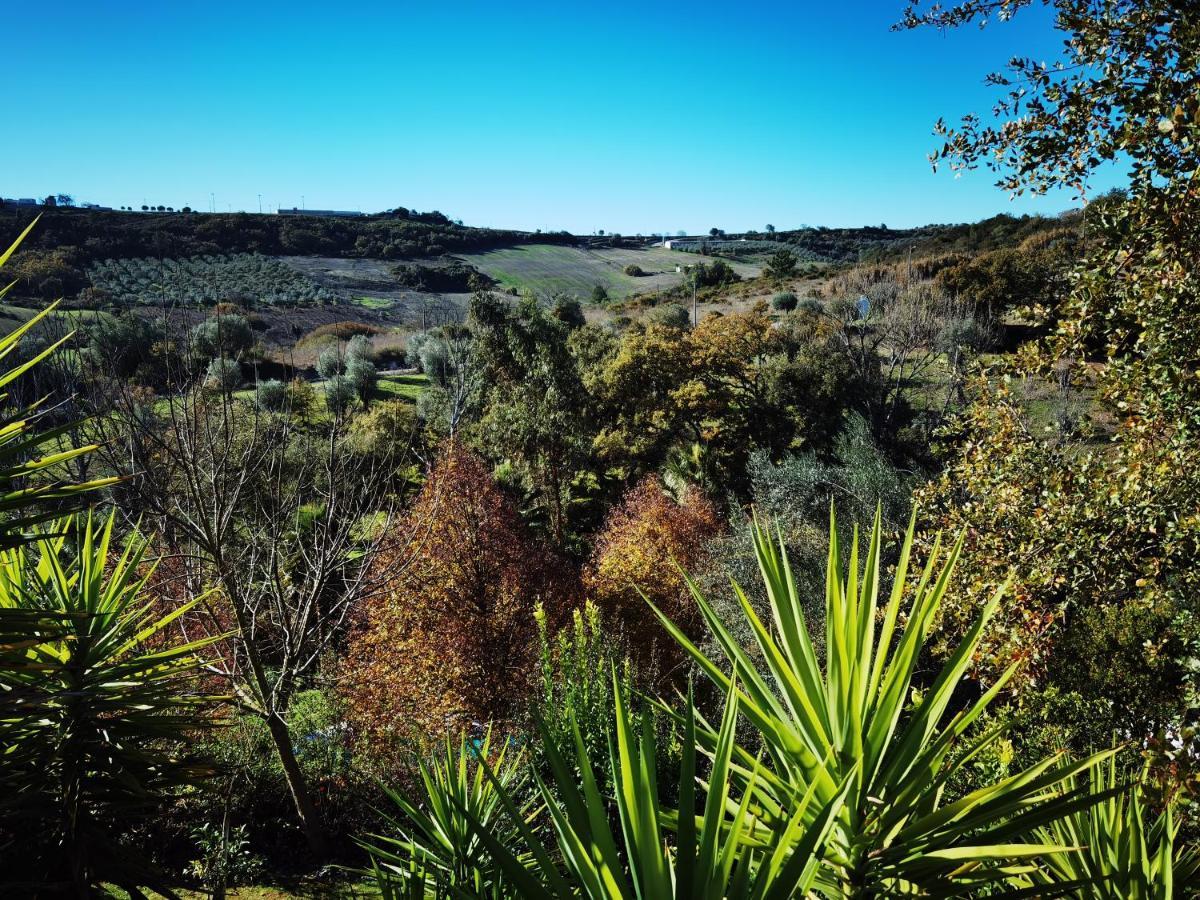 Quinta Do Vale Encantado "The Valley" - Santarem - Portugal Calhariz Экстерьер фото