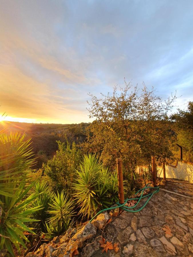 Quinta Do Vale Encantado "The Valley" - Santarem - Portugal Calhariz Экстерьер фото
